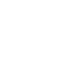 TGS liquidity white label provider, data feeder provider